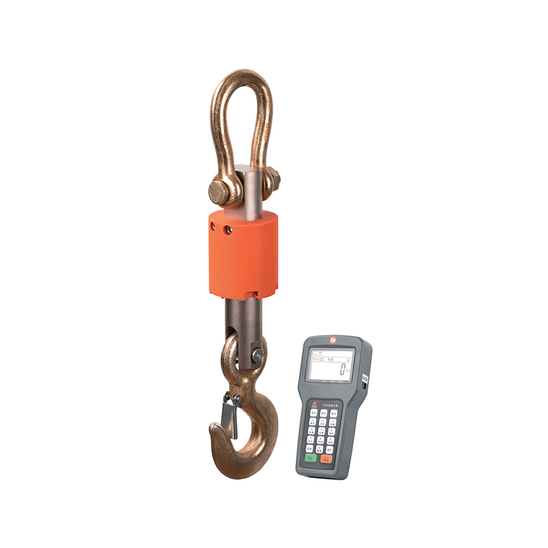 RJ-D40 High Performance Durable Crane Scale