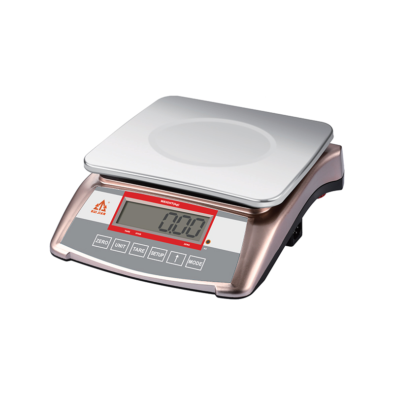  RJ-5027 High Precision 30kg Hot-selling Weighing Scale