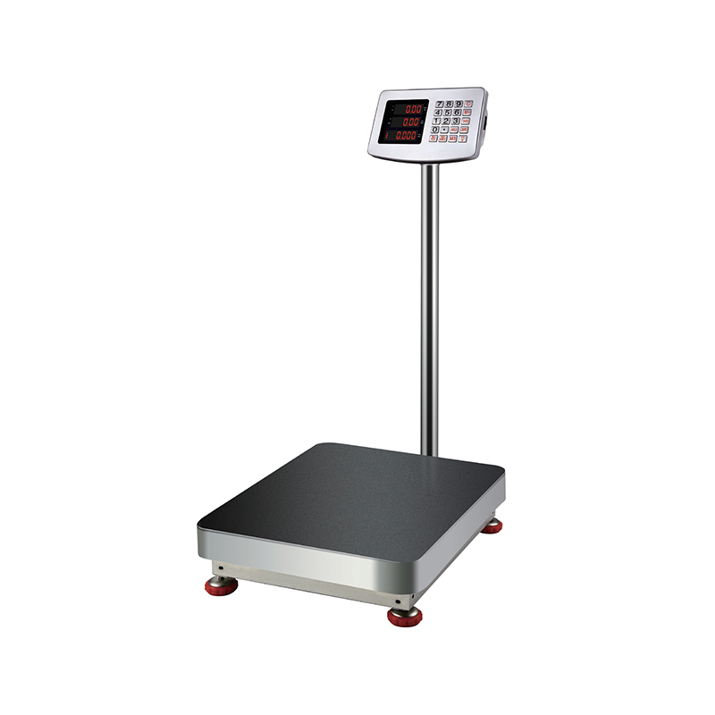 RJ-8006-5SS 304 Stainless Steel Platform Scale